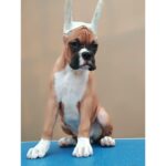 Boxer Puppy Thumbnail 4